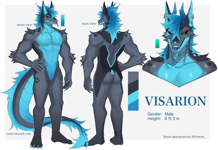 Reference Sheet // 70 EUR WITH REFERENCE